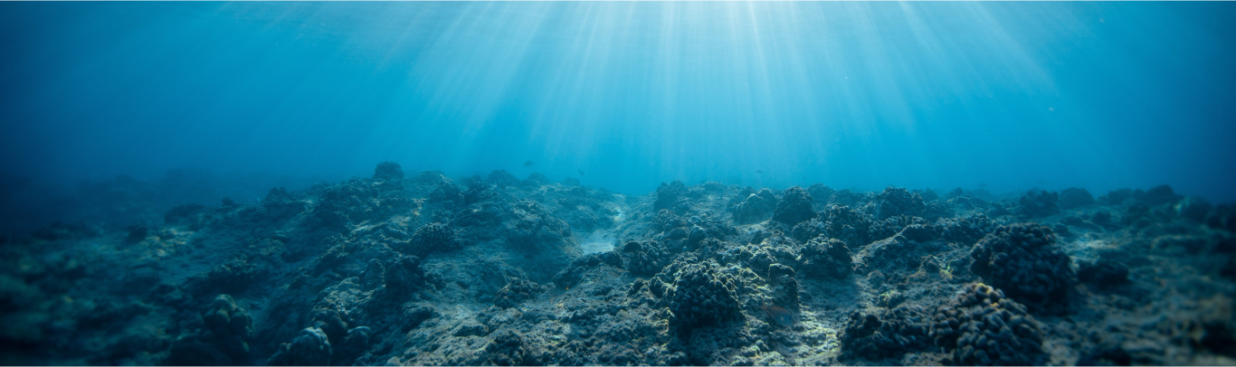 El poder del Ormus (18).png__PID:dfecaf7f-4b36-4cb9-bedf-9bcd11f367d6